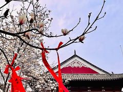 -长春观