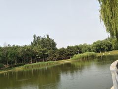 -大兴滨河森林公园