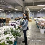 品种也特别全 关键价格超级美丽而且一扎数量也不少