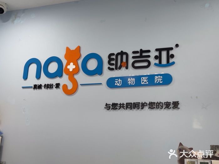 纳吉亚猫专科动物诊疗中心(蒋宅口分院)图片