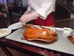 -阿庄新豫菜(航海东路店)