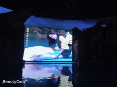 -芜湖新华联大白鲸海洋公园