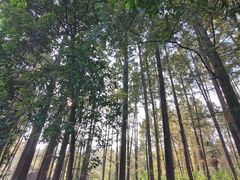 -杭州西湖桔子水晶酒店