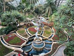 -南山植物园