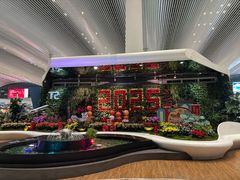 -广州白云国际机场-T2航站楼