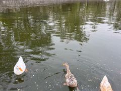 -迎泽公园