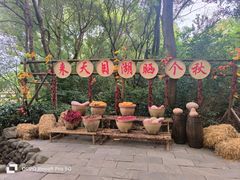 -天目湖山水园
