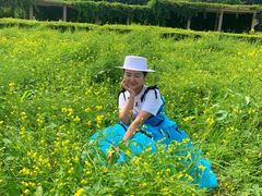 -长春公园(普阳街道)