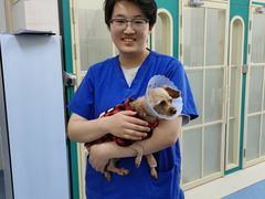 -全心全意动物诊疗中心医院(北苑店)