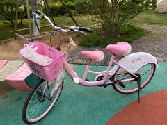 -琴岛之星摩天轮