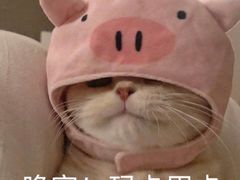 -胡仁根胡记炸炸炸