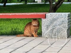 -北坞公园