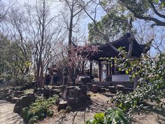 -秋霞圃