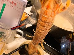 -鲜入围煮花胶鸡海鲜火锅