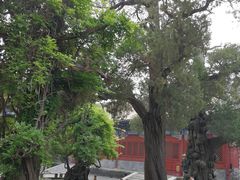 -北京国子监胡同