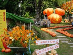 -HERRE·FARM 赫尔露营农场·团建聚会包场