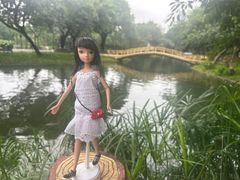 -晓港公园