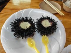 -枸杞岛