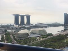 -新加坡瑞士史丹福酒店