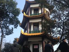 -赭山公园