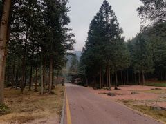 -姑婆山旅游区