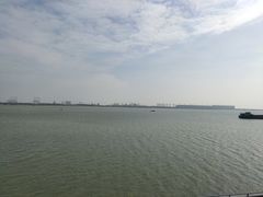 -大湾区中央湿地公园