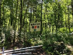 -陕西省红河谷森林公园