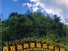 -西双版纳原始森林公园