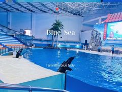 -长沙海底世界