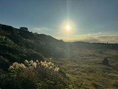 -涉地可支