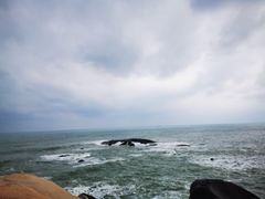 -东郊椰林