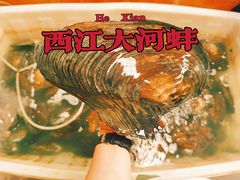 -八仔大富楼·河鲜(西江店)