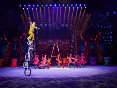 -珠海横琴长隆《卡卡虎奇遇记》