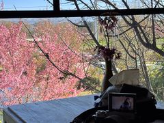 -翠田Green Field Kitchen