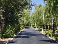 -绿堤公园