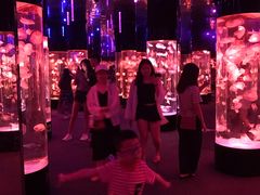 -成都浩海立方海洋公园