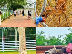 -渔岛海洋度假区