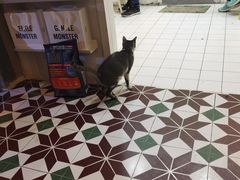 -BIGHEAD大头家咖啡馆(蛇口店)