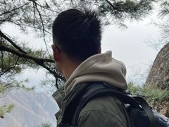 -王顺山国家森林公园