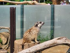-大连森林动物园