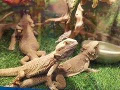 -大连老虎滩海洋公园
