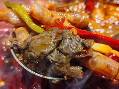 -郭铁柱·泥炉老火锅(江北龙湖天街店)