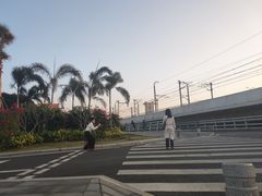 -海堤纪念公园