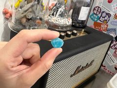 -LESCEDARS Brasserie Bistro香柏树