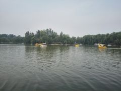 -廊坊市自然公园