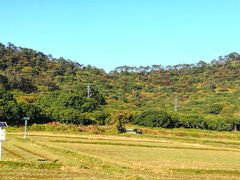-风云岭森林公园