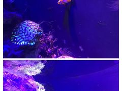 -成都浩海立方海洋公园