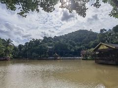 -西双版纳原始森林公园