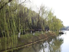 -桐乡植物园