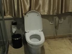-武当山老营国际饭店